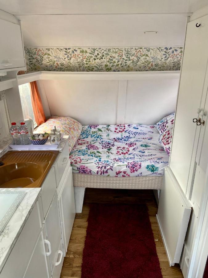 Cosy Caravan At Carrigeen Glamping Kilkenny Dış mekan fotoğraf