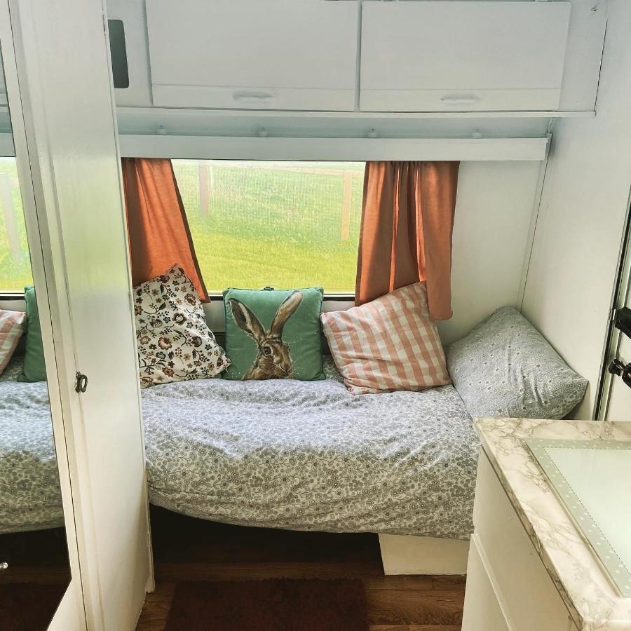 Cosy Caravan At Carrigeen Glamping Kilkenny Dış mekan fotoğraf