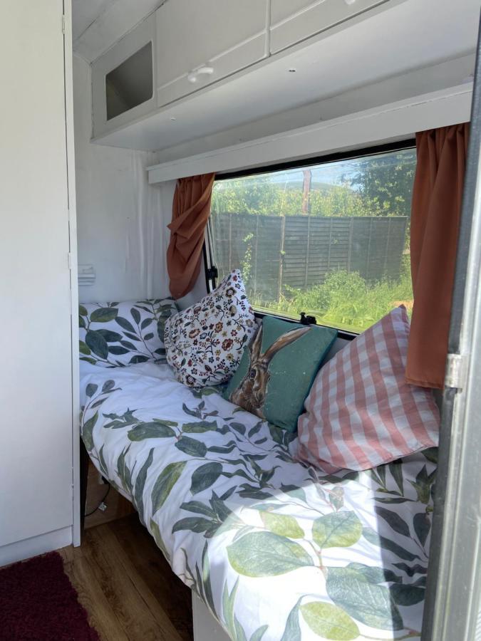 Cosy Caravan At Carrigeen Glamping Kilkenny Dış mekan fotoğraf